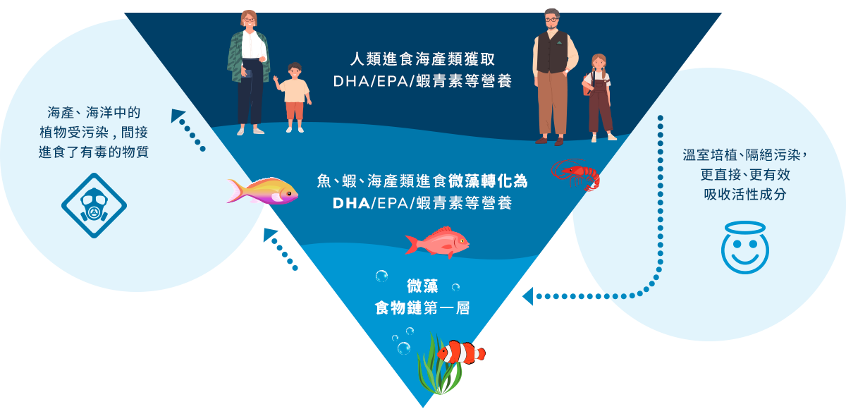 Self Photos / Files - infographic