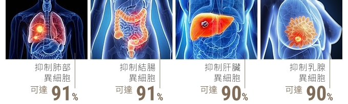 Self Photos / Files - image_product_TC