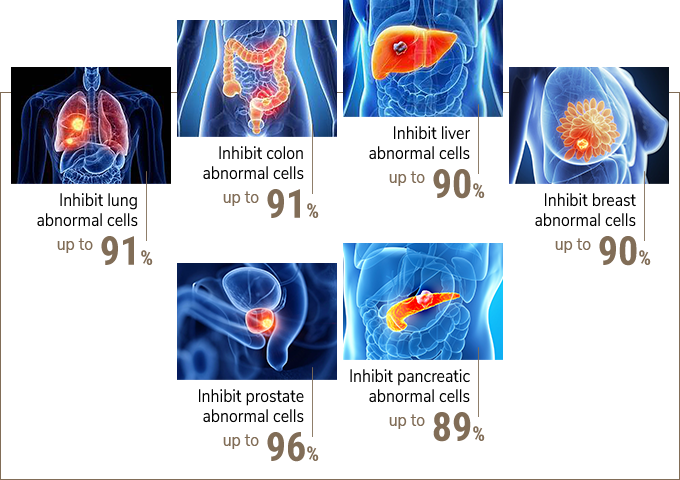 Self Photos / Files - image_product_EN